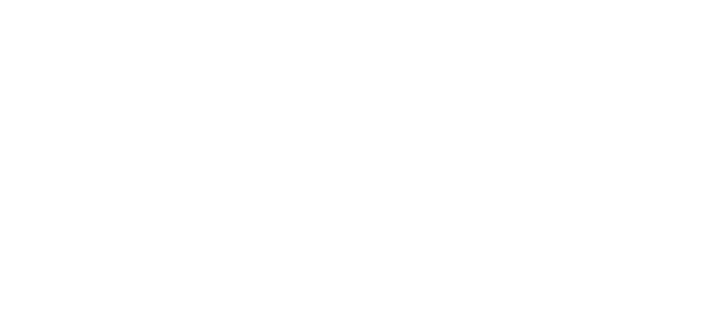 Partner Logo 4