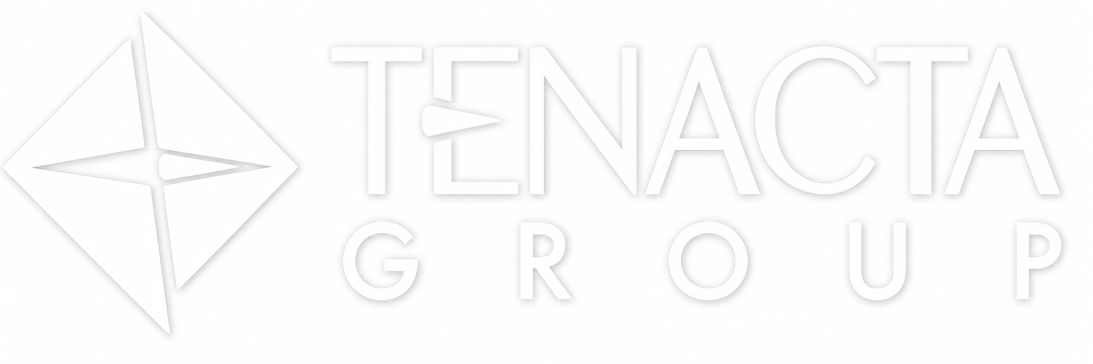 Partner Logo 9