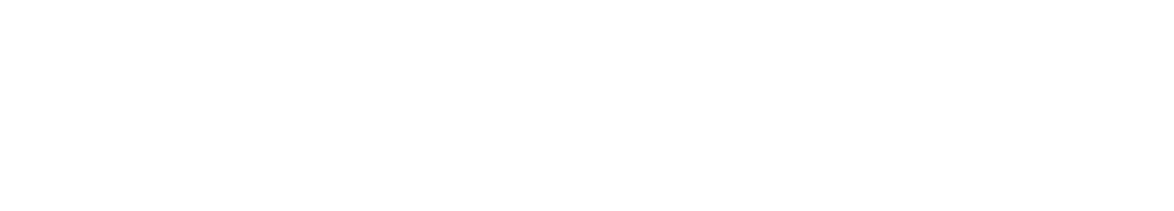 Partner Logo 4