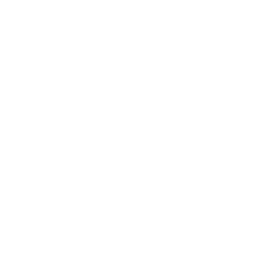 Partner Logo 5